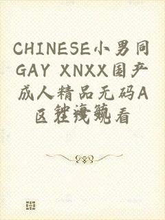 CHINESE小男同GAY XNXX国产成人精品无码A区在线观看